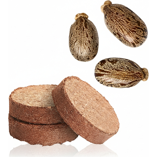 Artikelbild_Klein Artikelbild_Klein