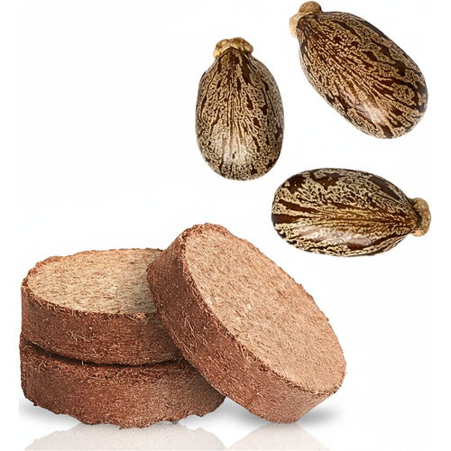 Artikelbild_Klein Artikelbild_Klein