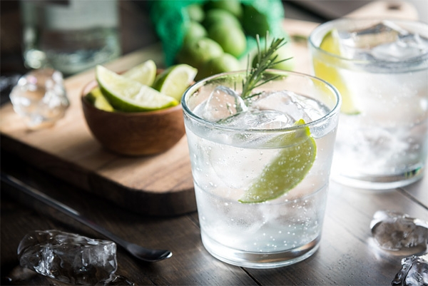 Gin Tonic im Glas mit einer Zitrone
