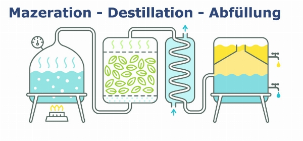 Herstellung von Dry Gin durch Mazeration, Destillation, Lagerung und Abfüllung