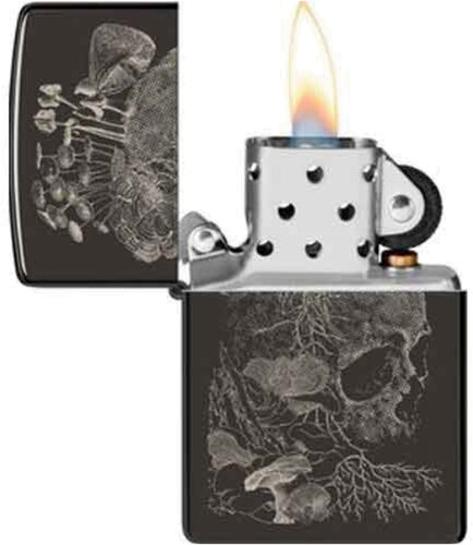 Artikelbild_Klein Artikelbild_Klein