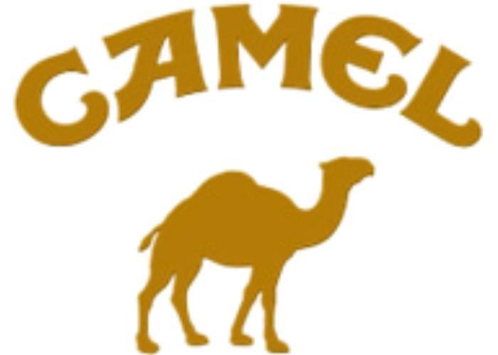 Camel