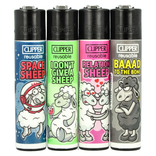 Sheep