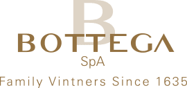 Bottega Logo