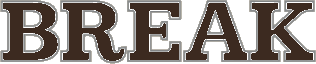 Break Logo