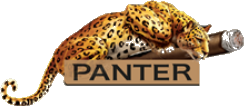 Panter Logo