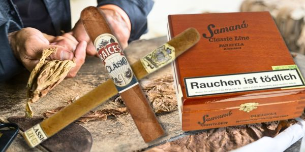 Panatela und Robusto Zigarre Handgerollt