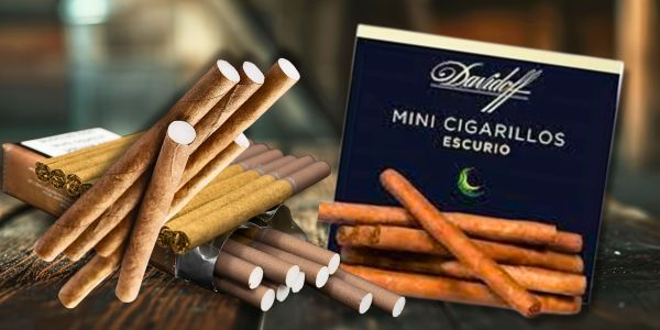 Zigarrilos mit und ohne Filter