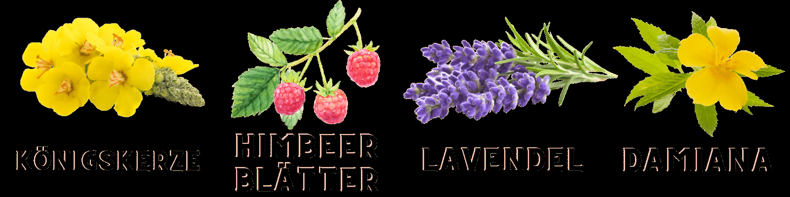 Bestandteile des Tabakersatz Tütenfutter - Damiana, Lavendel, Himbeere und Königskerze