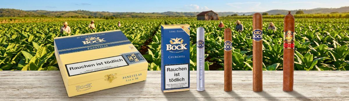 Zigarren der Marke vor einer Tabakplantage