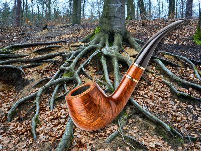 Bruyere Holz - Pfeife und eine Baumheide mit Wurzeln Bruyere Holz - Pfeife und eine Baumheide mit sichtbaren Wurzeln
