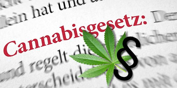 Cannabis-Gesetz Cannabis-Gesetz