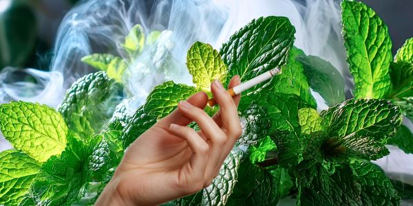 Minzblätter mit Rauch und Zigarette in der Hand Minzblätter mit Rauch und Zigarette in der Hand