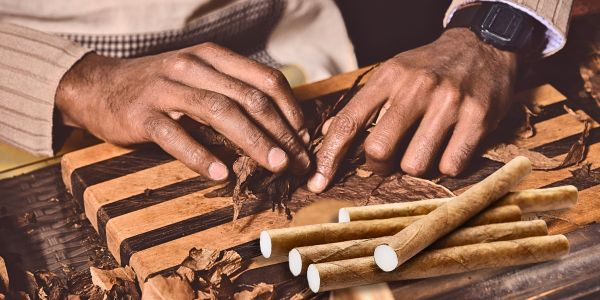 Filterzigarillo mit dunklem Deckblatt 