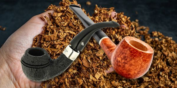 zwei Pfeifen in der Hand auf losem Tabak