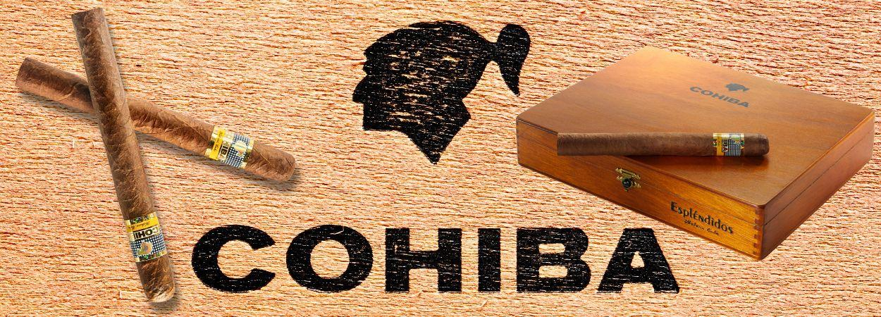 Zigarren der Marke Cohiba Zigarren der Marke Cohiba
