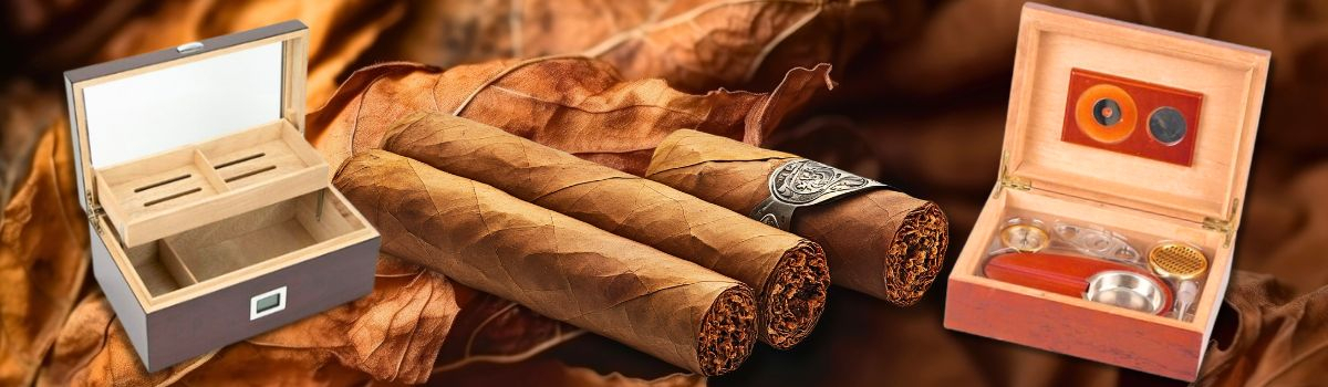 Humidor und Zigarren Humidor und Zigarren