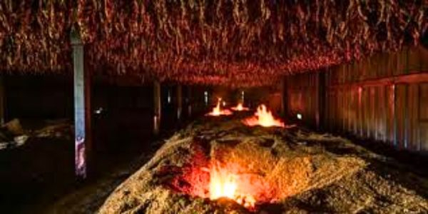 Fementierung durch zugefügte Wärme in einer Kammer