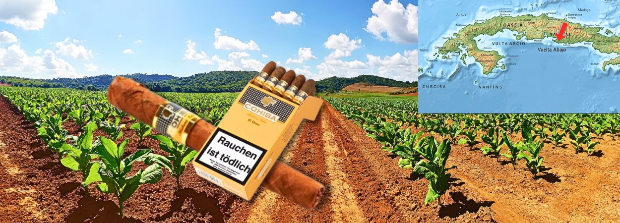 Karte mit Anbaugebiet und Zigarrenmarke Cohiba Karte mit Anbaugebiet und Zigarrenmarke Cohiba