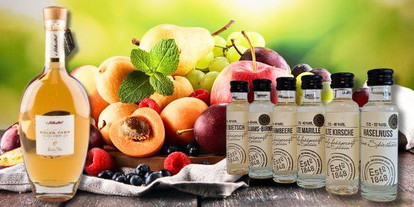 Auswahl eines Tasting - Sets von verschiedenen Früchten
