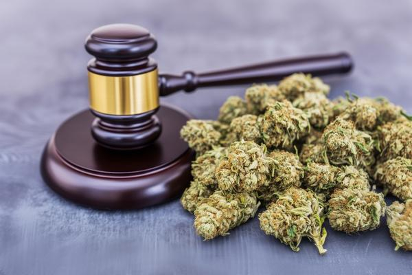 Rechtliche Grundlage für Hanfsamen und deren Vertrieb in Deutschland Rechtliche Grundlage für Hanfsamen und deren Vertrieb in Deutschland