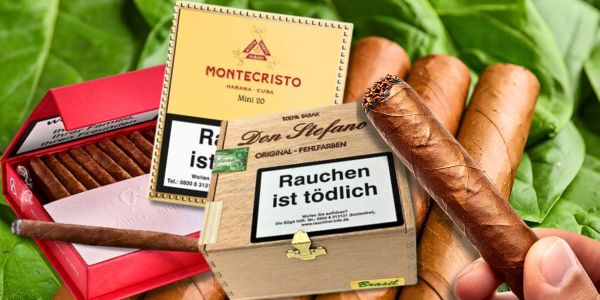 Auswahl von verschiedenen Zigarillos